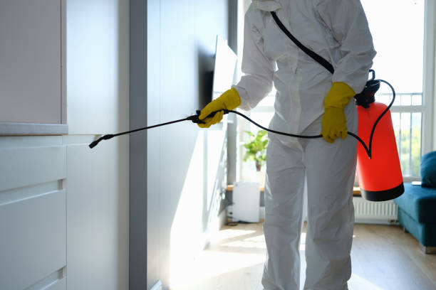 Best Basement Mold Remediation in Miramar, FL
